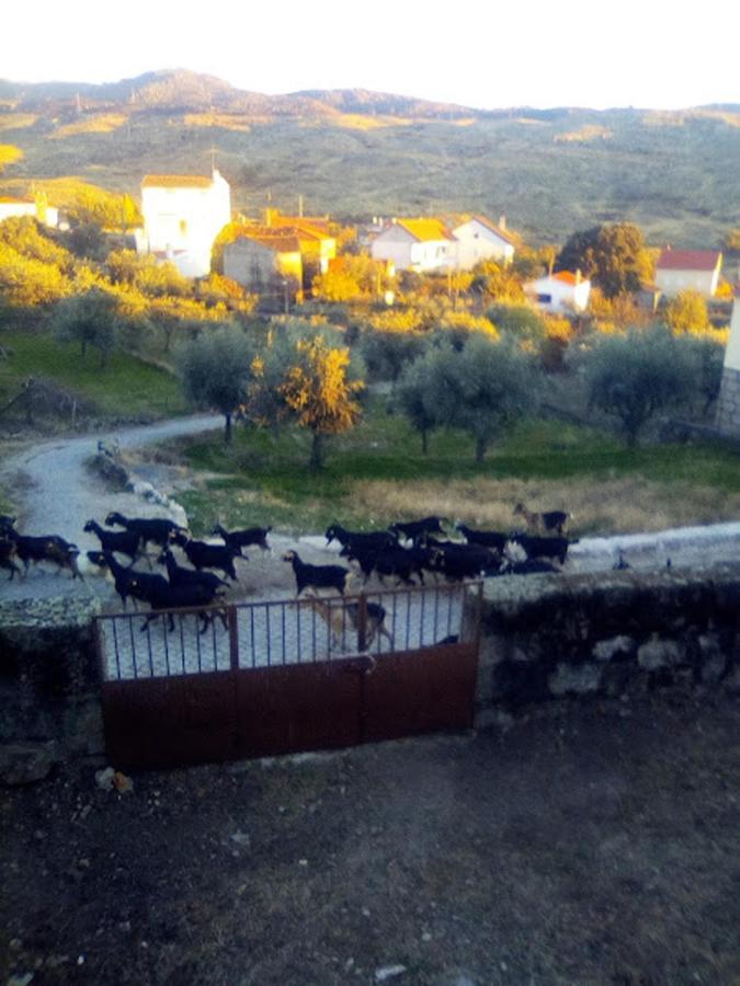 Pedregulho Experience Διαμέρισμα Caldeirinhas Εξωτερικό φωτογραφία